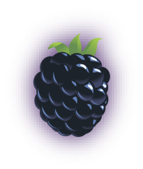 Blackberry image