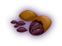 Cacao image