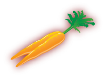Carrots image