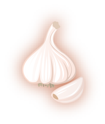 Garlic image