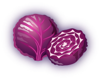 Purple Cabbage image