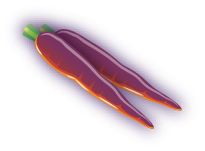 Purple Carrots image
