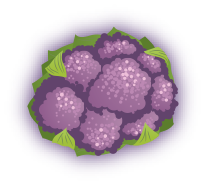 Purple Cauliflower image