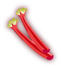 Rhubarb image