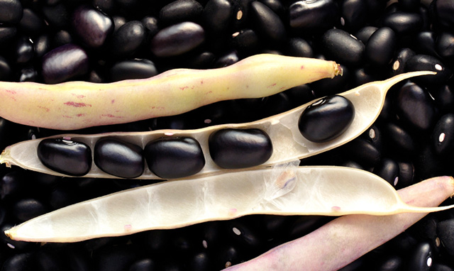 Black Beans